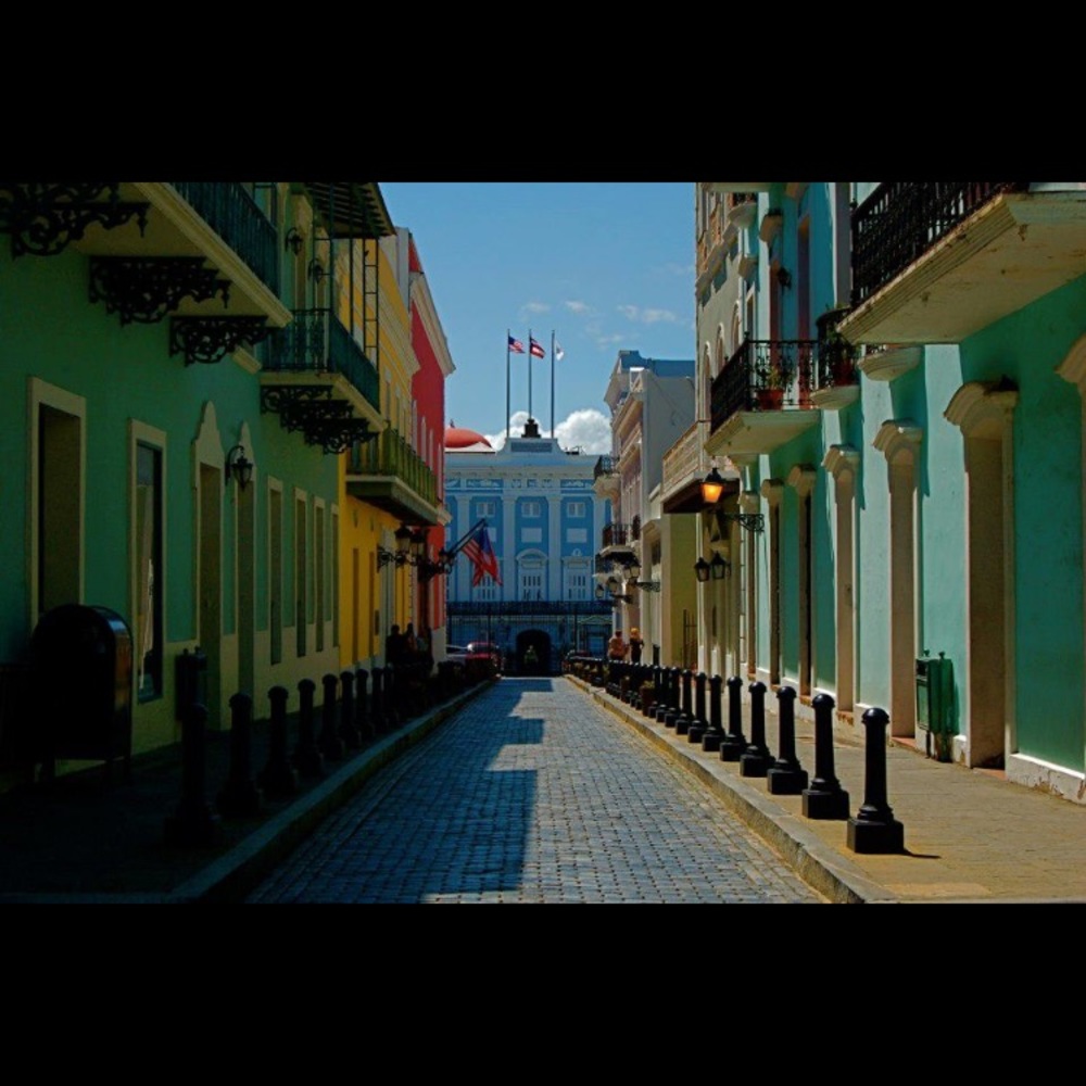 Meet your Posher, Nicolle